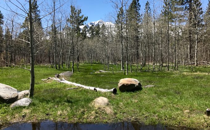 Wet winter creates hazards on Tahoe trails