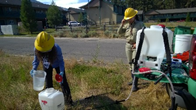 USFS to use herbicides on plants in basin