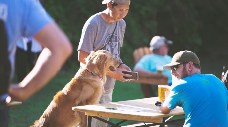 Cancer leads to opportunity to help other dogs