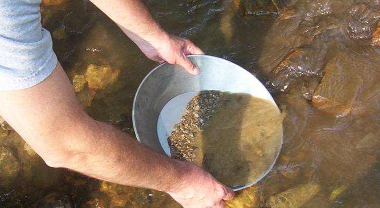 Mini gold rush in N. California