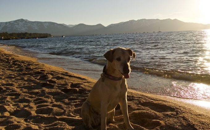 Lots of water, little beach area in Tahoe