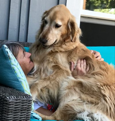 Delving into why dogs are so friendly