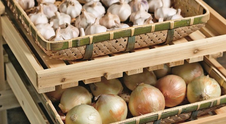 Keeping it fresh from the garden to the table