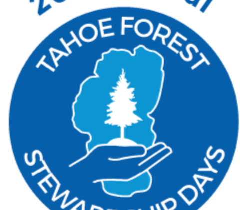 Volunteers needed to work in Angora burn area