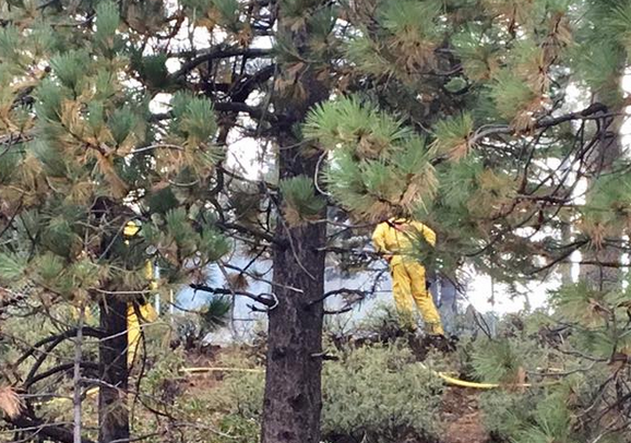 2 young girls deliberately start fire in South Lake