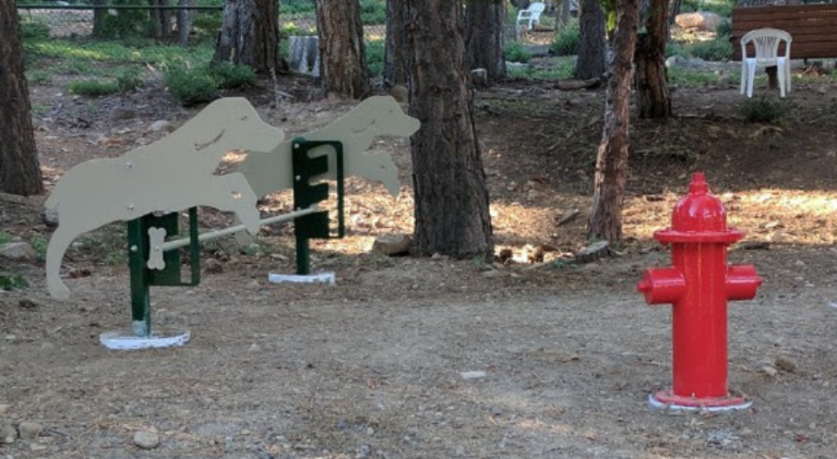 Agility equipment added to Tahoe Vista dog park