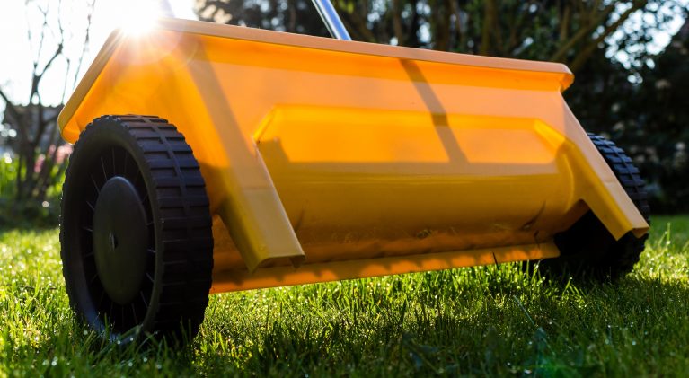 Simple step to improve lawn’s health and vigor