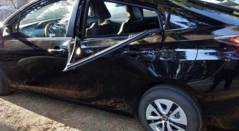 Tahoe bears trashing cars at trailheads