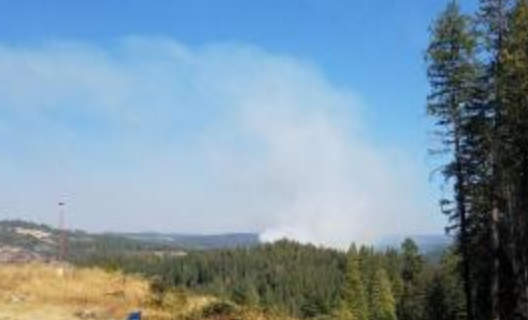 Crews make progress on 2 Eldorado forest fires
