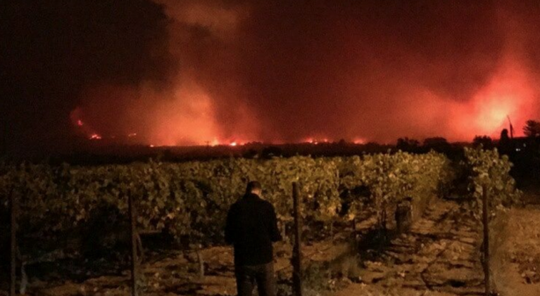 Hope as vintners assess long-term impact of fires