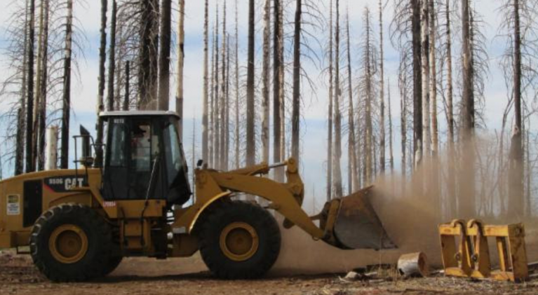 Eldorado forest roads to be repaired