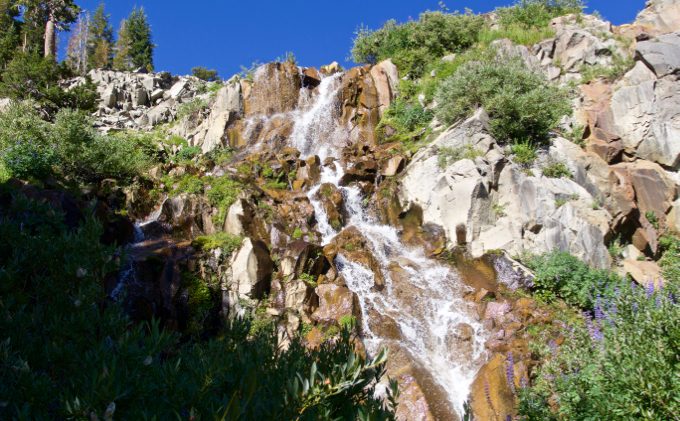 Busting 11 myths about westerners and conservation