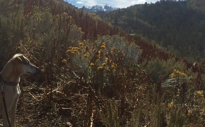 Park City much more than just a ski town
