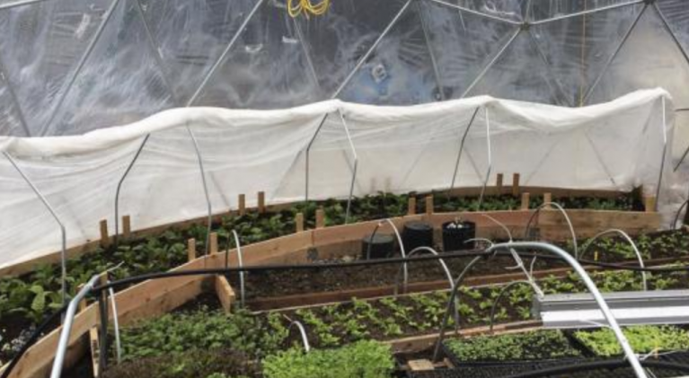 Farm conquers Truckee’s harsh growing climate