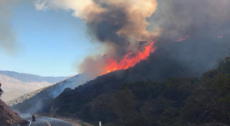 The West can learn about forest fires from Fla.