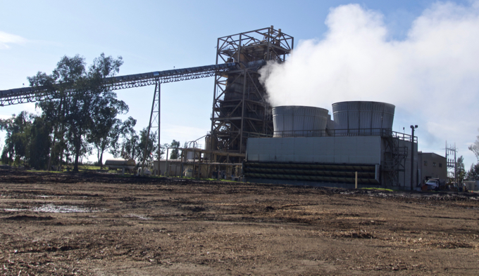 Issues surround turning forests into fuel