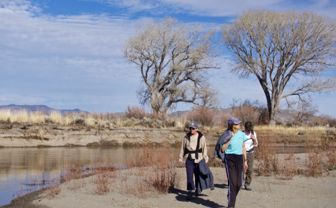 Carson River, grasslands, sage dominate easy hike