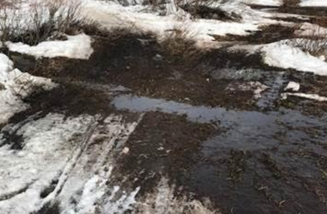 Warning for snowmobilers about where to ride