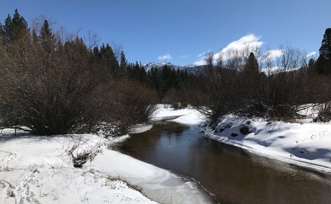 Storm cancels classes, meetings throughout Tahoe
