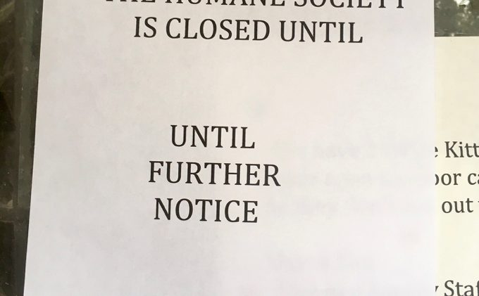 Lake Tahoe Humane Society abruptly closes