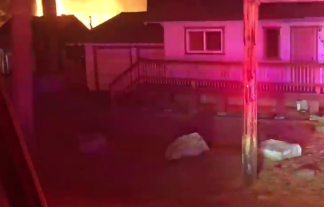 Fire destroys 2 sheds, damages a third