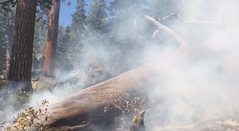Small wildland fire burning on East Shore