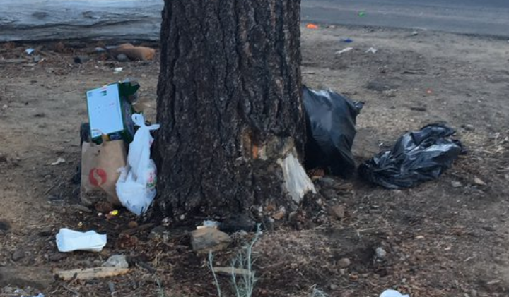 South Lake Tahoe cops: Phish fans filthy