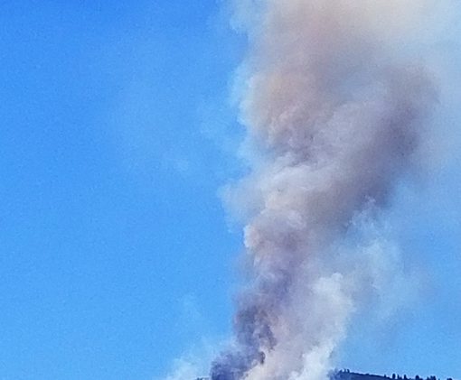 Vehicle sought in Evans Fire near Mt. Rose